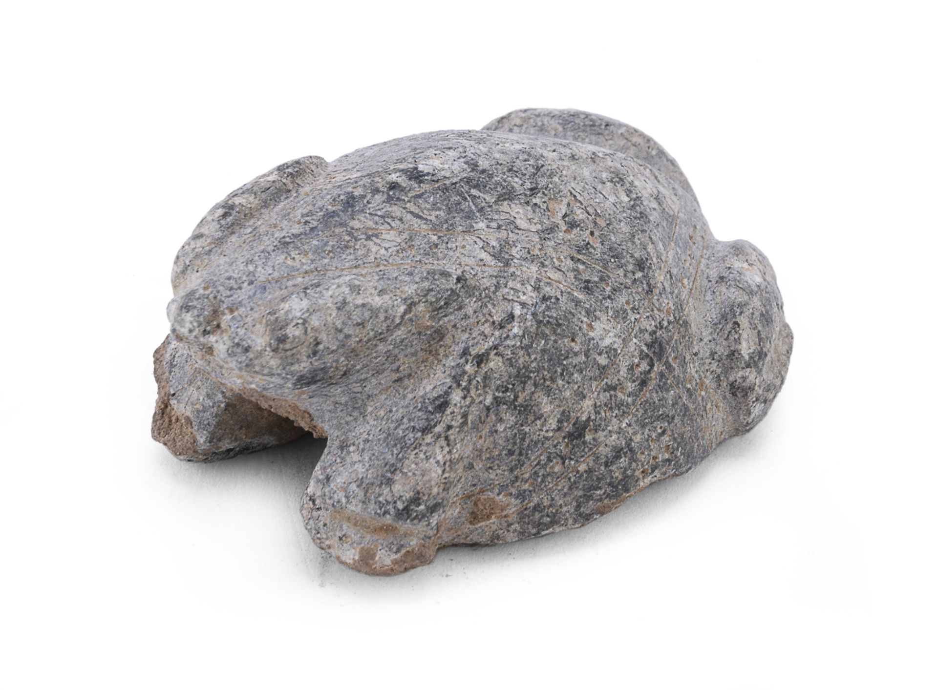 A STONE TOAD CHINA 19TH CENTURY - Image 2 of 2