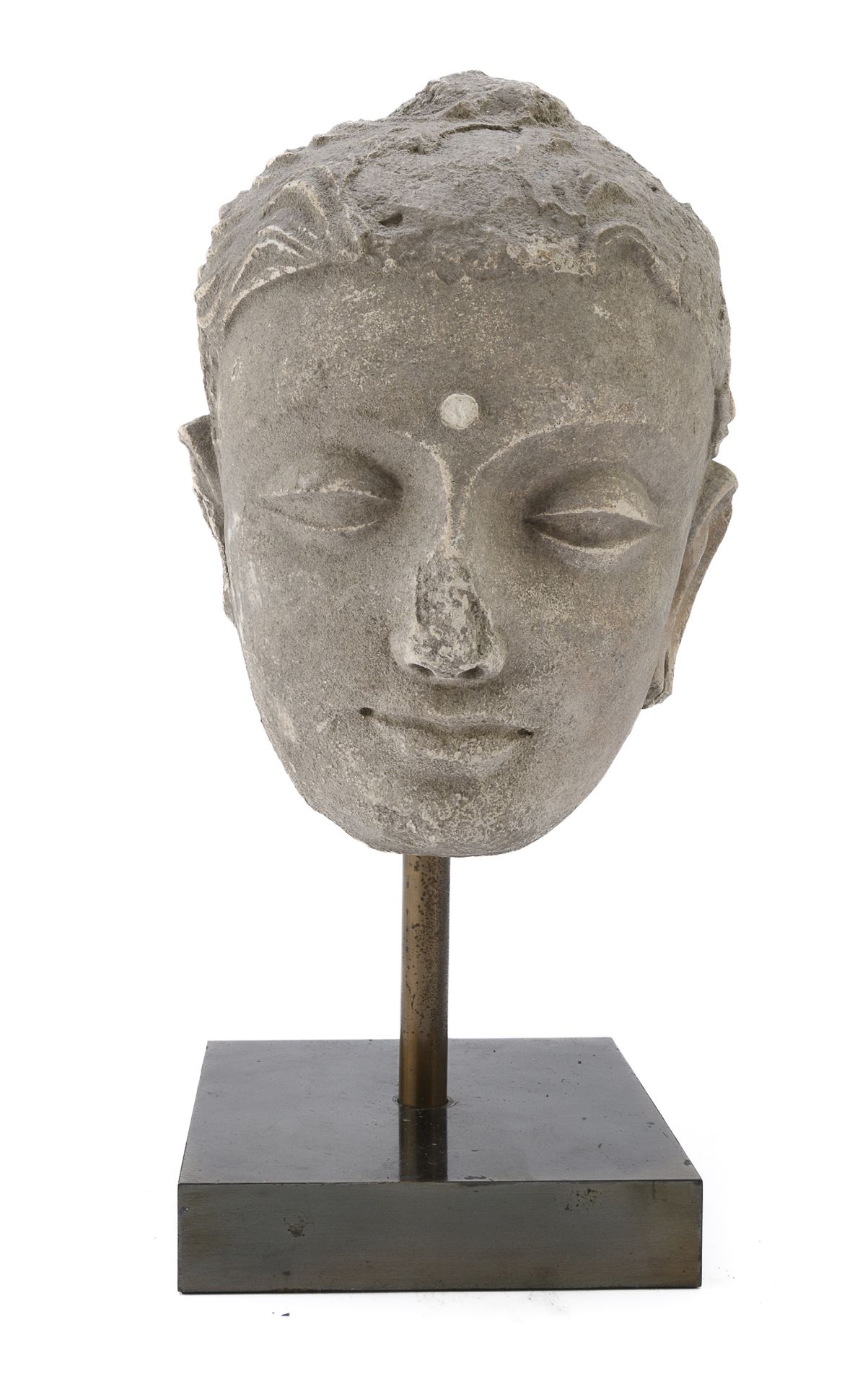 A STUCCO BUDDHA HEAD ART OF GANDHARA 5TH-6TH CENTURY A.C.