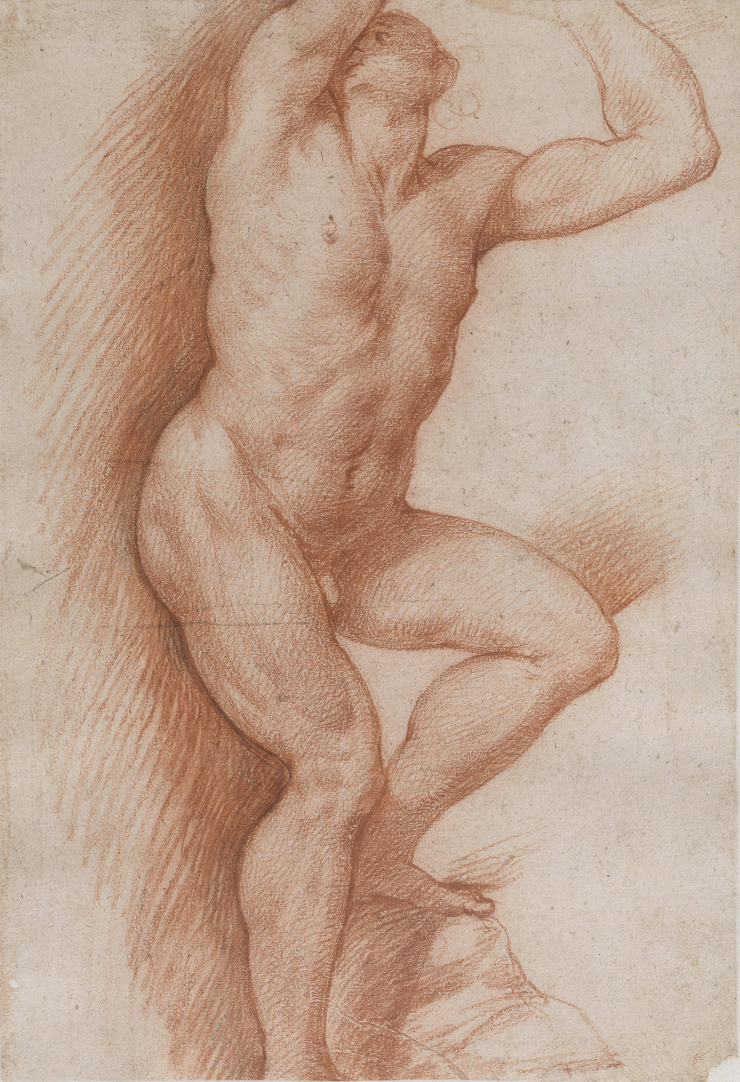 SANGUINE STUDY BY THE CIRCLE OF GIUSEPPE CESARI known as IL CAVALIER D'ARPINO