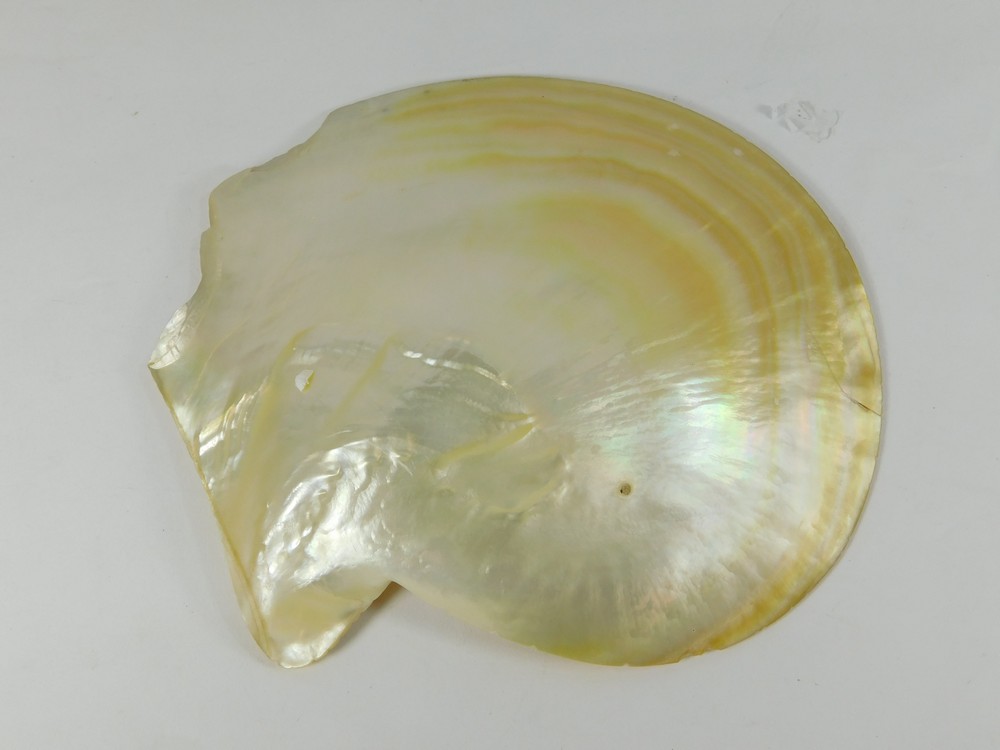 CARVED MOTHER OF PEARL. - Bild 2 aus 2