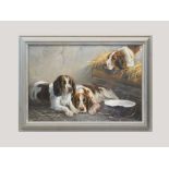 RICHARD BLOWEY. Springer Spaniels. Oil on board. Signed. 50 x 75cm.