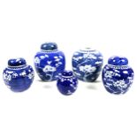 A group of five modern Chinese ginger jars and covers, each decorated in underglaze blue with prunus