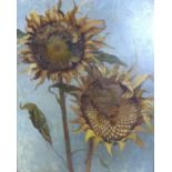 A 20th Century still life of two wilting sunflowers, oil on board, signed 'H Veasey' upper right
