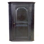 A George III oak corner cupboard, with a single flat front fielded panel door, fixed shelves to