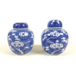 A pair of Chinese porcelain ginger jars and covers, decorated in underglaze blue with prunus blossom