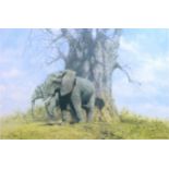 After David Shepherd (British 1931-2017): limited edition print of Baobab and friends, signed and