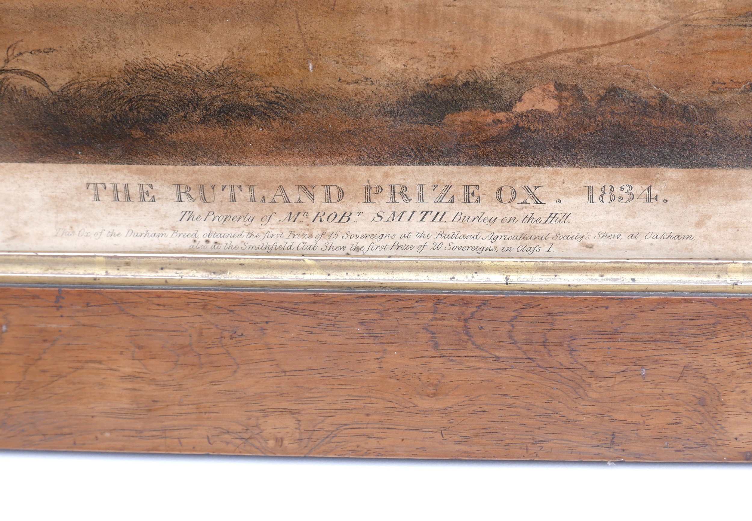 A group of six prints, including 'The Rutland Prize Ox, 1834, The Property of Mr Robt Smith, - Image 2 of 3