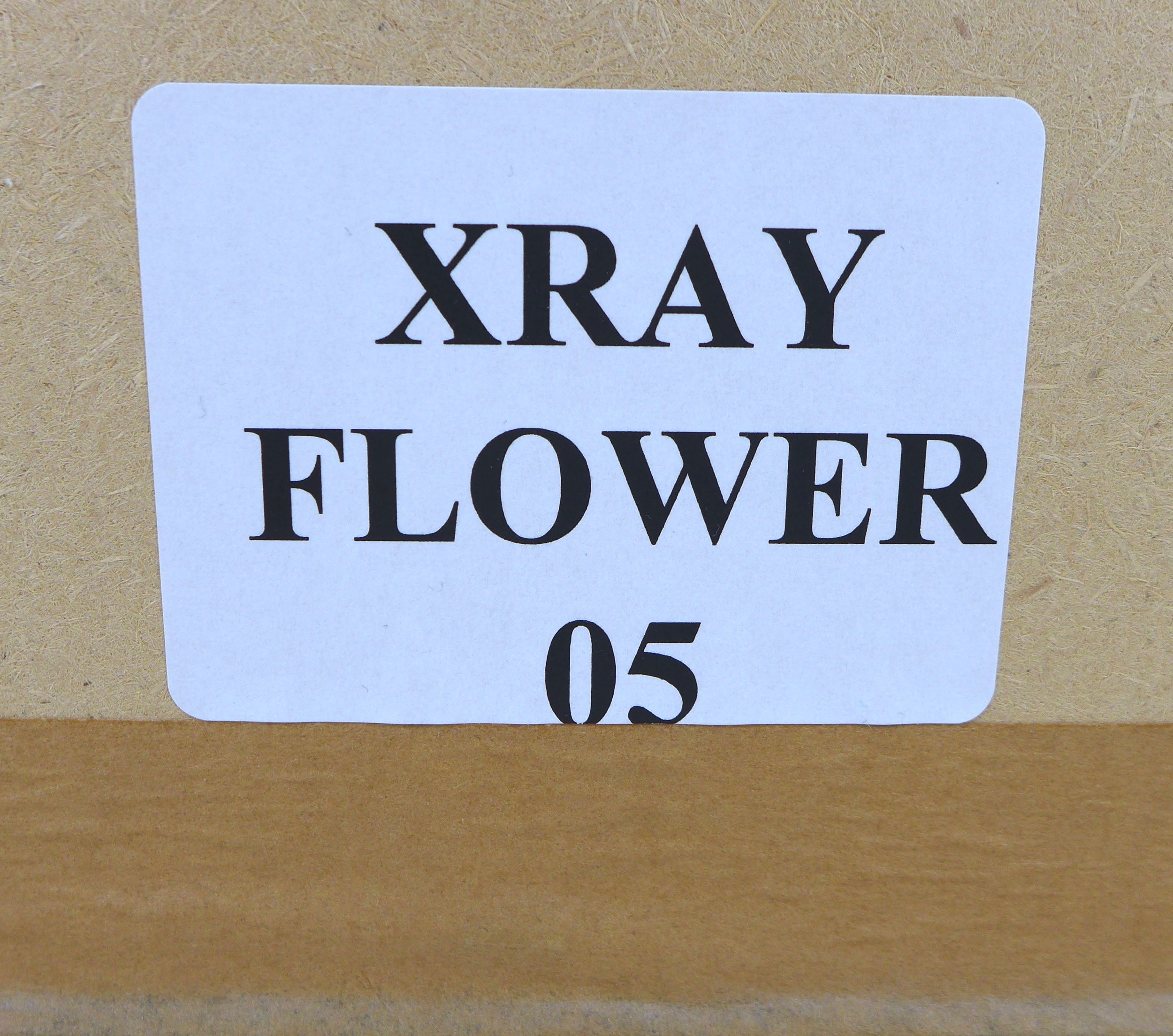 A contemporary floral print from the Quintessa Collection 2004, 'XRay Flower 05', labels to verso, - Image 5 of 5