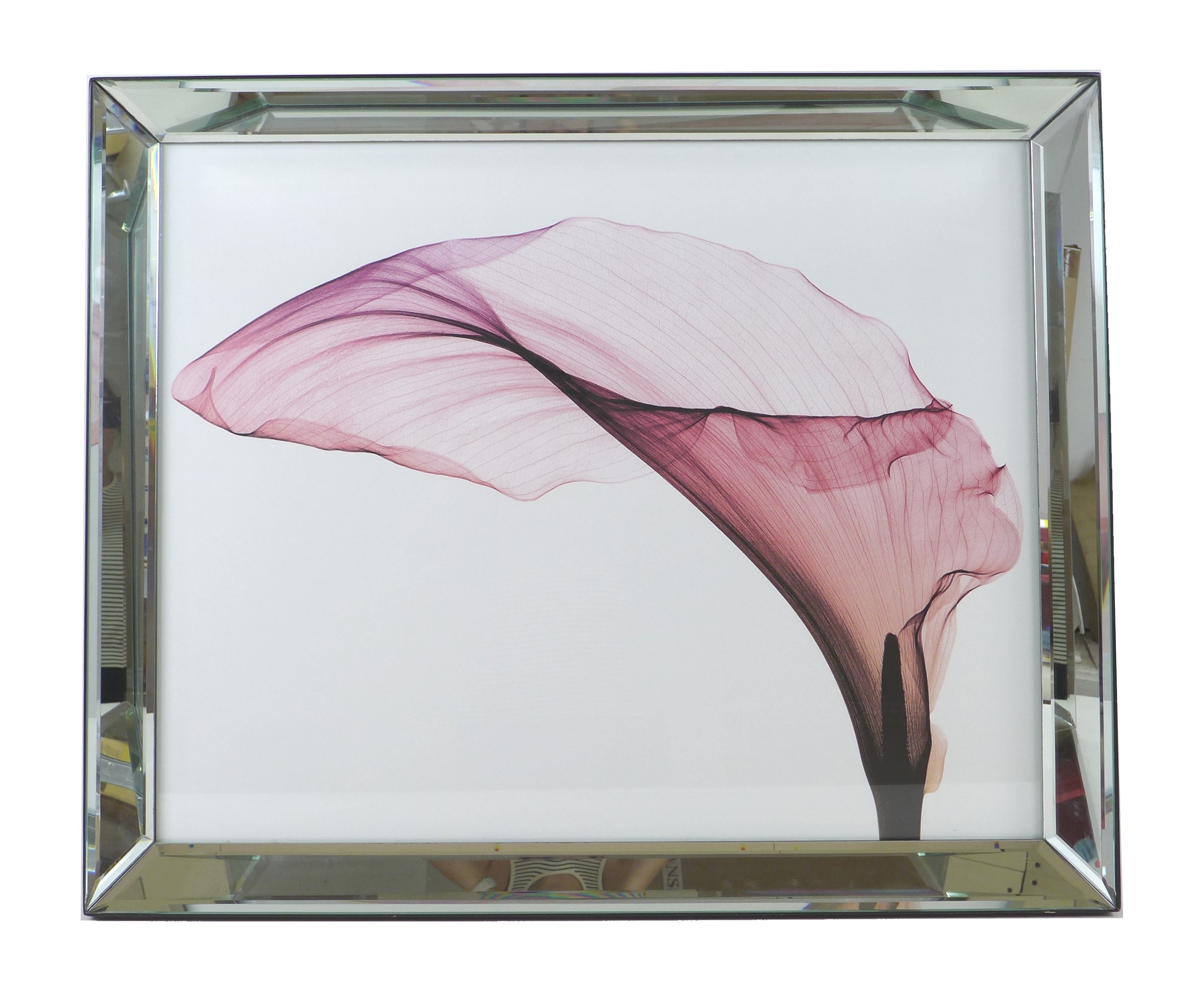 A contemporary floral print from the Quintessa Collection 2004, 'XRay Flower 05', labels to verso, - Image 2 of 5