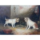 George Armfield (British, 1808-1884): 'Tantilisation', depicting two white terriers in an