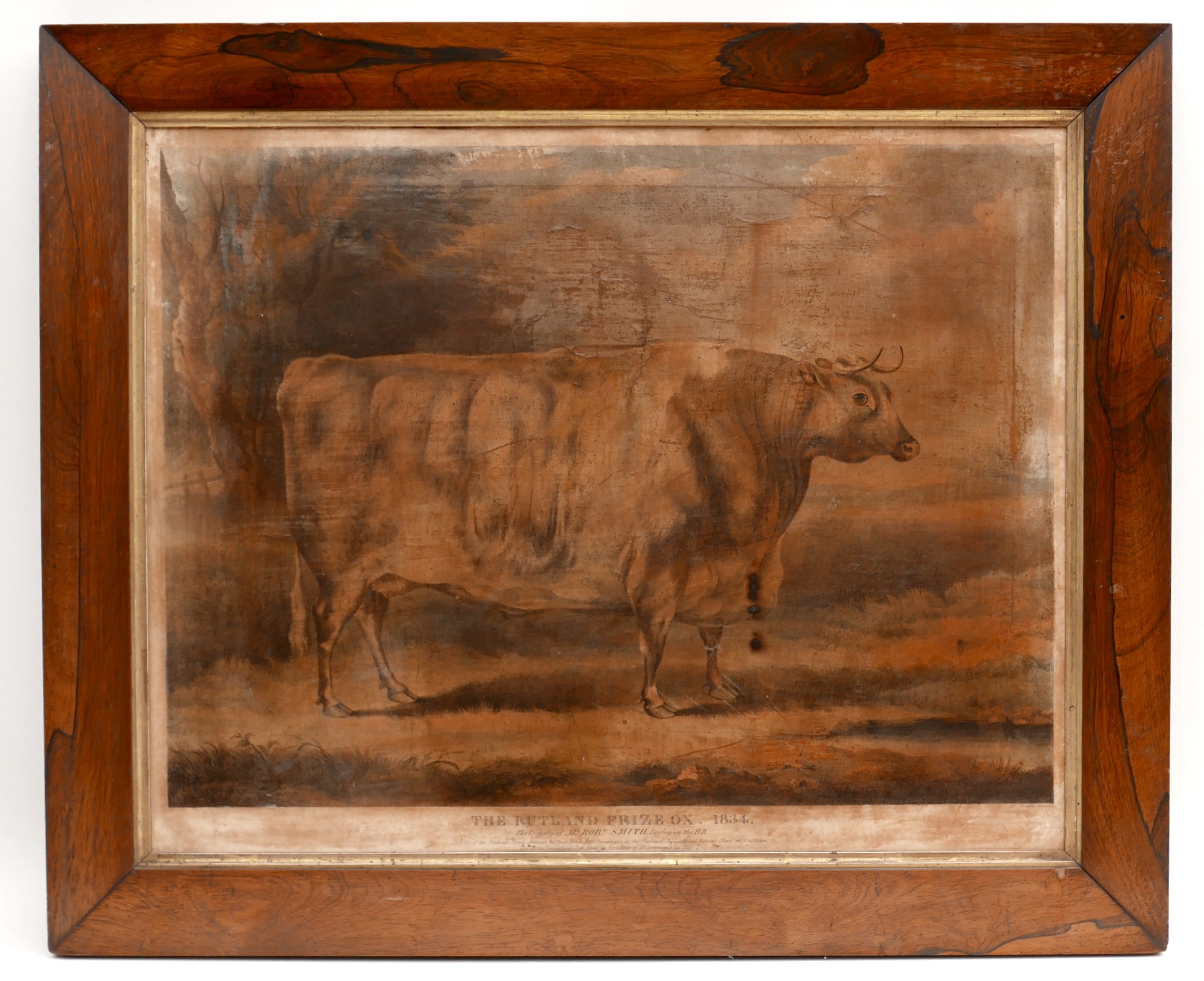 A group of six prints, including 'The Rutland Prize Ox, 1834, The Property of Mr Robt Smith,