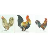 Anne Smart (British, 20th century): a group of three painting of chickens/cockerels, 'Fine