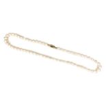 A pearl necklace with 14ct gold clasp, pearls approximately 6mm diameter, 23.1g, 40.5cm long.