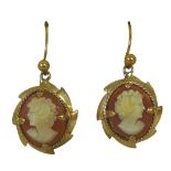 A pair of 9ct gold mounted cameo earrings, 3.2g overall., cameo and mount, 1.5 by 2cm (excluding