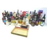 A large mixed parcel of spirits, including vodka, gin and brandy. (48 bottles, 2 boxes)