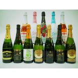 12 BOTTLES SPANISH CAVA