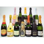 12 BOTTLES SPANISH CAVA