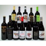 12 BOTTLES SPANISH RED WINE