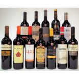 12 BOTTLES SPANISH RED WINE