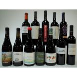 12 BOTTLES SPANISH RED WINE