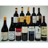 12 BOTTLES SPANISH RED WINE