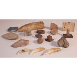 COLLECTABLES, A GROUP OF NATURAL HISTORY SPECIMENS. (QTY)