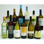 12 BOTTLES ITALIAN WHITE WINE