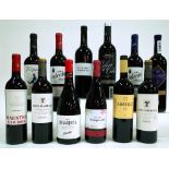 12 BOTTLES SPANISH RED WINE