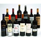 12 BOTTLES SPANISH RED WINE