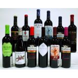 12 BOTTLES SPANISH RED WINE