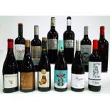 12 BOTTLES SPANISH RED WINE