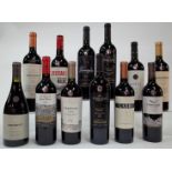 12 BOTTLES ARGENTINIAN RED WINE