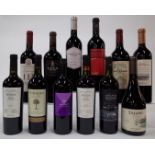 12 BOTTLES ARGENTINIAN RED WINE