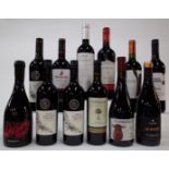12 BOTTLES ARGENTINIAN AND MOLDOVAN RED WINE