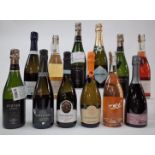 12 BOTTLES SPARKLING WINE (MIXED ORIGIN)