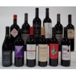 12 BOTTLES ARGENTINIAN RED WINE