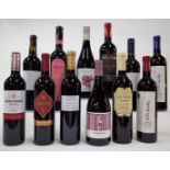 12 BOTTLES SPANISH RED WINE