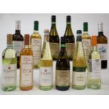 12 BOTTLES ITALIAN WHITE WINE