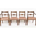 A SET OF EIGHT GEORGE IV MAHOGANY DINING CHAIRS, INCLUDING A PAIR OF CARVERS (8)