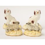 A PAIR OF SAMUEL ALCOCK PORCELAIN BROWN AND WHITE SPANIELS (4)