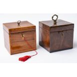 A GEORGE III INLAID MAHOGANY SINGLE TEA CADDY (2)