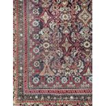 FERAHAN CARPET, PERSIAN