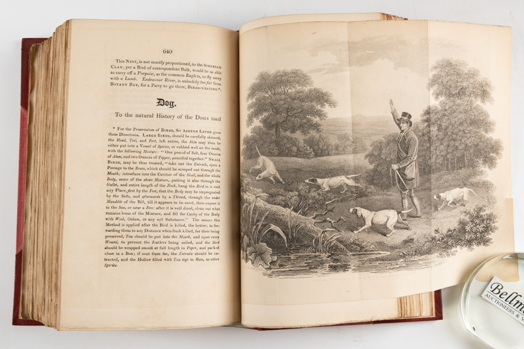 DANIEL, William Barker (1754-1833). Rural Sports, London, 1812-13, 4 volumes, large 8vo,... - Image 3 of 3