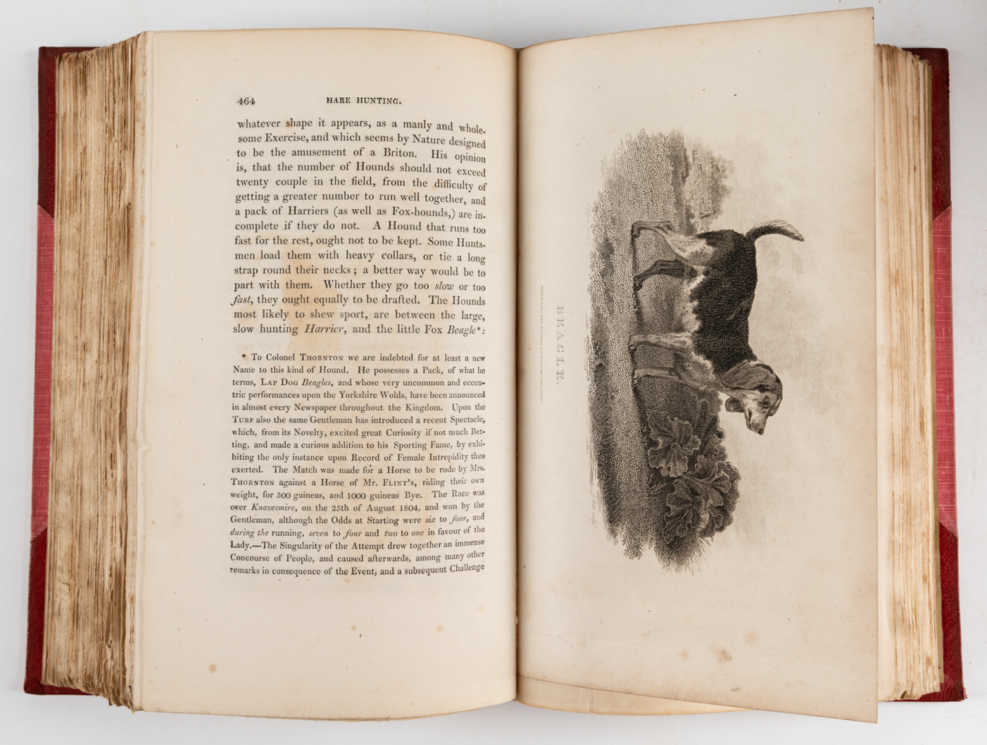DANIEL, William Barker (1754-1833). Rural Sports, London, 1812-13, 4 volumes, large 8vo,... - Image 2 of 3