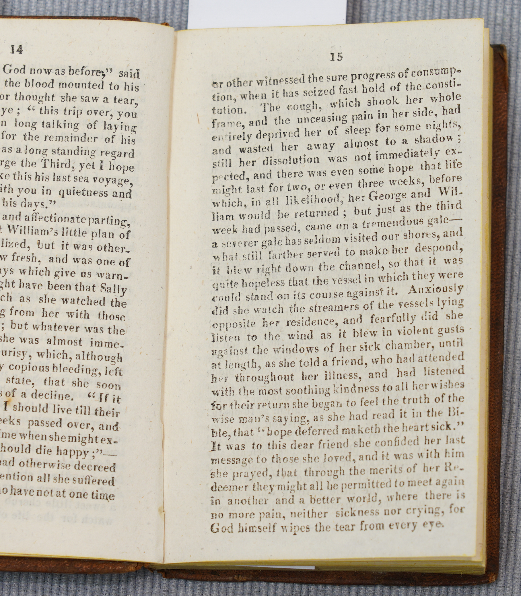 [ANON.]. Travels in South-Eastern Asia, Dublin, 1823, 12mo, contemporary calf. With François... - Image 5 of 6