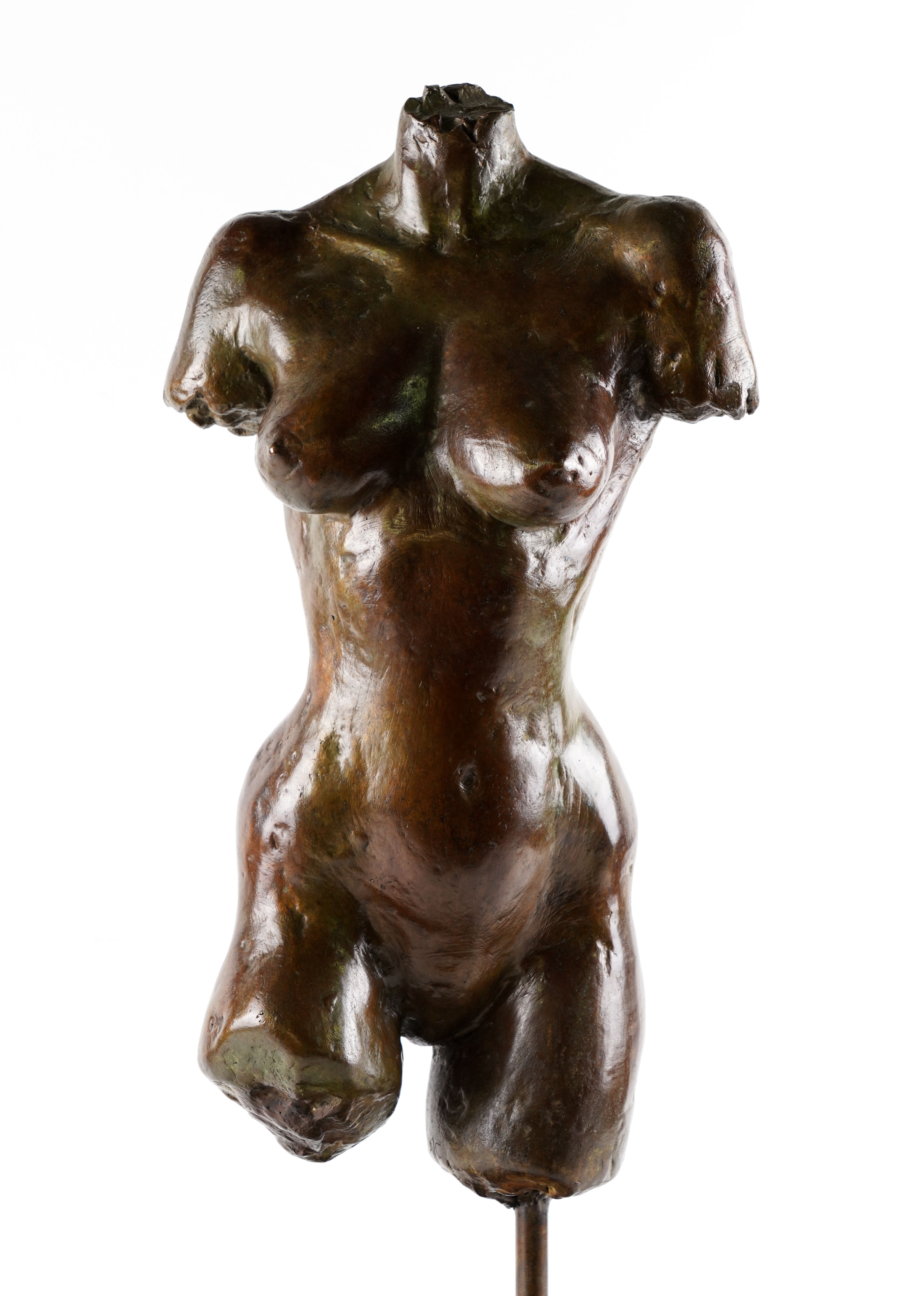 A CONTEMPORARY BRONZE SCULPTURE OF A FEMALE TORSO - Image 2 of 5