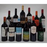 12 BOTTLES ARGENTINIAN MALBEC