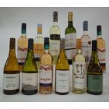 12 BOTTLES ARGENTINIAN WHITE AND ROSÉ WINE