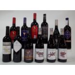 12 BOTTLES SPANISH RED WINE