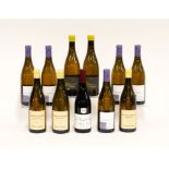 ELEVEN BOTTLES OF MIXED WINES INCLUDING A BOTTLE OF LE CHAMP DES ETOILES 2019 (11)